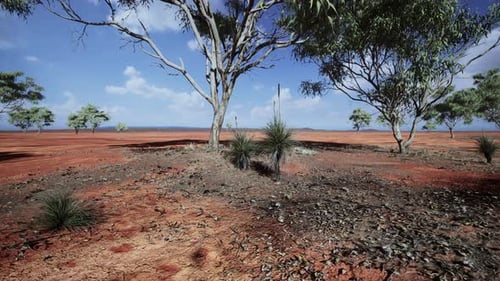 Animated Australian Outback Landscape Panorama