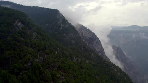 Foggy Rocky Mountains Valley