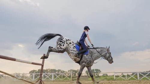 Horse and Rider Jumping Over Hurdle in Rural Setting
