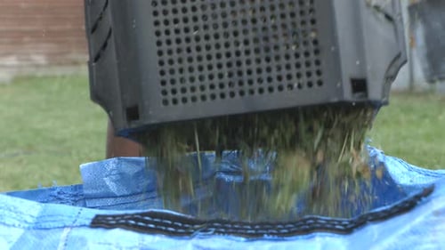 Hombre negro que vacía la caja de la cortadora de césped en una bolsa mientras hace jardinería