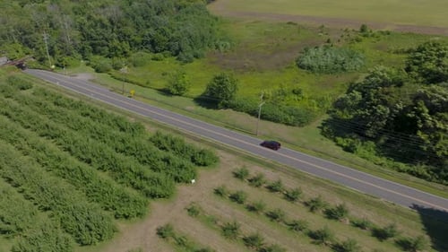 Dynamic Drone Following a Red Car Along a Scenic Country Road