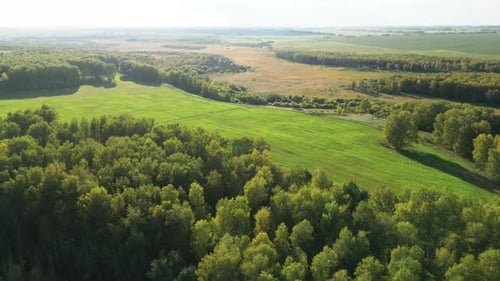 Beautiful Landscape Aerial View in Vast Forest with Meadows Flight Over Woods Natural Background in