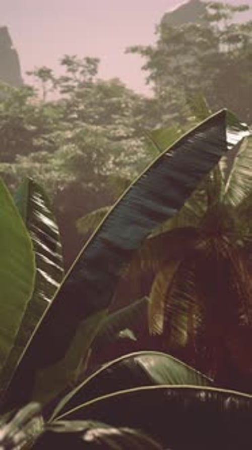 Verdant Forest Abundant With Trees