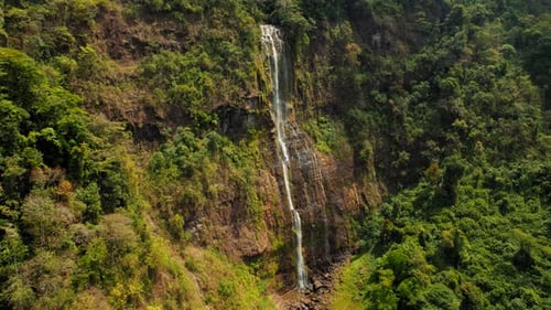 Tall tropical waterfall cascading down a lush green cliff in sunny rainforest
