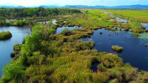 Aerial view over beautiful wetland
