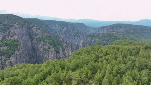 Expansive Aerial View of a Lush Green Forested Canyon with Steep Rocky Cliffs and Distant Mountains