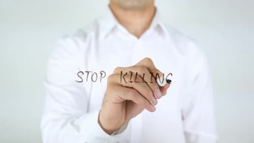 Adult Writes Message to Stop Killing