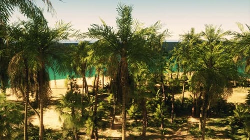 Ein Blick auf einen Strand mit Palmen