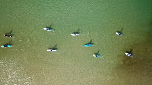 SUP surfers paddling along a Mediterranean coast