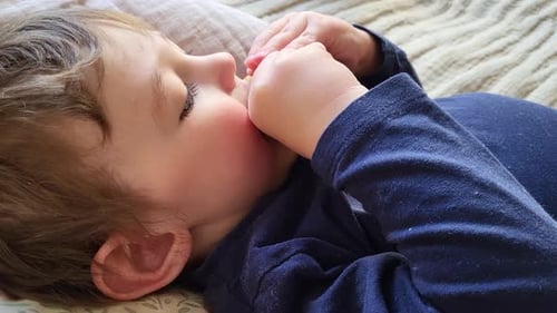 Child Lying on Bed Eats Apple Slices