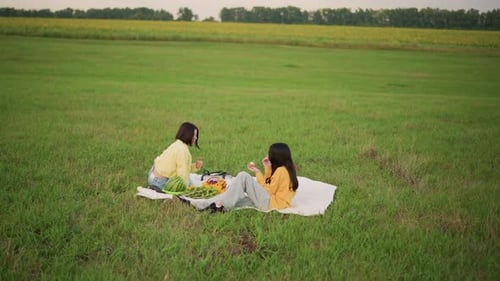 Women Chatting on Soft Meadow Serene Scene of Friends in Open Field Relaxed Women Converse Quietly
