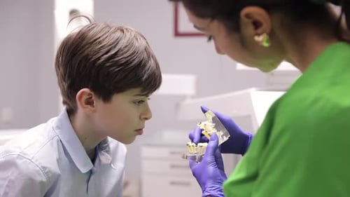 A Child is Having Their Dental Appointment with a Trained Professional at the Clinic