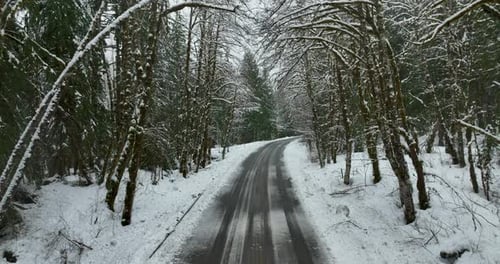 Tree Lined Mountain Road Covered In Fresh Winter Snow No Cars Traveling Above Aerial