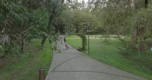 Shekvetili, Georgia - August 12 2023: Flying over Musicians Park in Shekvetili village