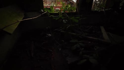 Creepy Abandoned Building Interior with Decayed Structure