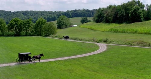 Amish buggies travel a Pennsylvania country road on a sunny summer day