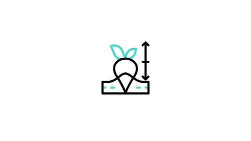 Growth Lineal Animated Icon