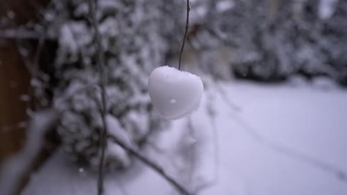 Snow hearts on tree branch outside during snow - snowfall snowy weather with close up of a romantic
