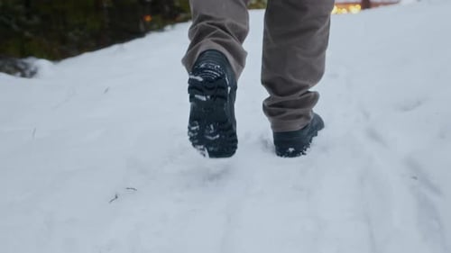 Person Walking on Fresh Snow in Forest Low Section