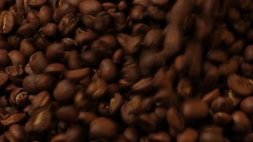 Zeitlupe fallender gerösteter Kaffeebohnen. Bio-Kaffeesamen.