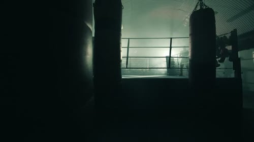 Boxer Training Alone in a Boxing Ring