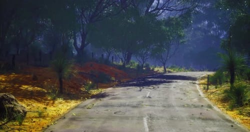 Scenic Rural Road Winding Through Lush Greenery and Vibrant Foliage