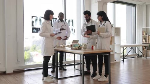 Medical Staff Examining Skeleton in Bright Office