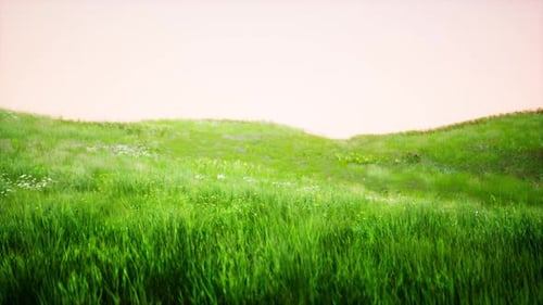 Green Grass Landscape with Hills and Blue Sky