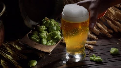 In a glass of craft unfiltered beer, beer bubbles play in the backlight.