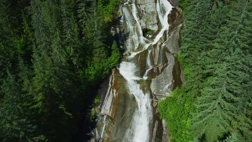 Shot overlooking a stream with a waterfall and coniferous trees.
