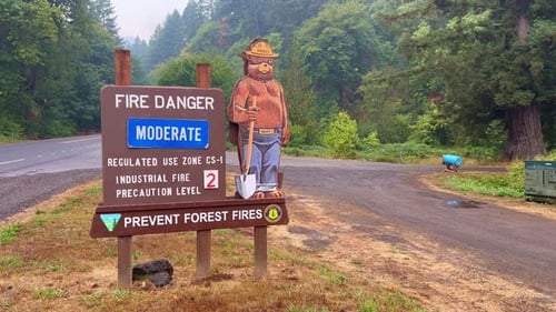 Smokey Bear Moderate Fire Danger Warning Sign In Oregon. Forest Fire Prevention Campaign. closeup