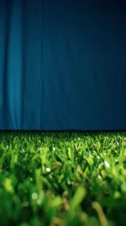 Empty Green Grass with Copy Space