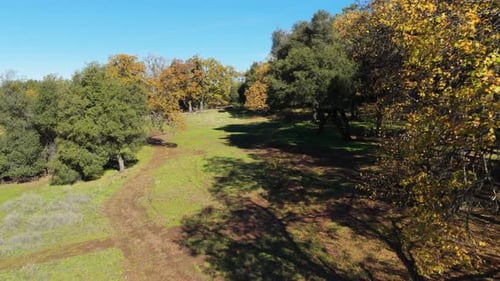 Sentier de terre traversant une prairie et une forêt d'automne à Mt Aukum