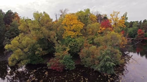 Camera Flies Over the Island with Trees on the Lake in Autumn Above