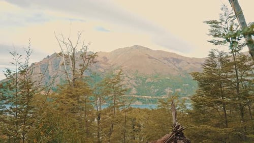 Woman meditating on the mountain