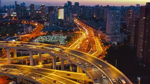 Nature City Waves Wildlife and Dynamic Night Traffic