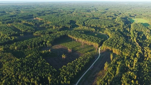 Drohnenaufnahmen, die die Entwaldung inmitten üppiger grüner Wälder festhalten