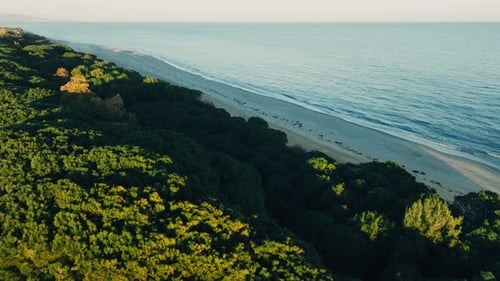 Unspoiled Calabrian Sea Coast Aerial View