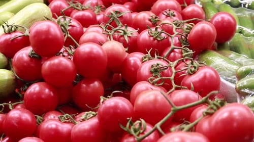 Red Color Small Tomato on Table