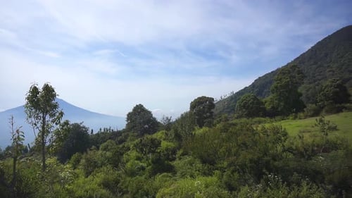 mountain scenery, natural hill panorama, tall green forests and green slopes during the day