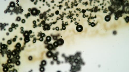 Animated Microscopic Particle Flow in Abstract Science Background