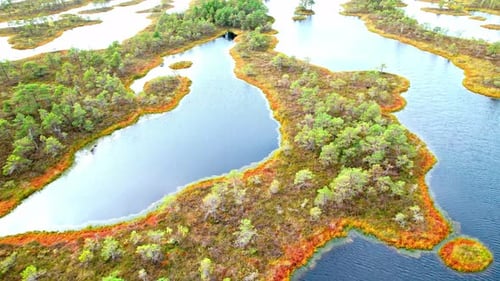 Discovering the unique beauty of Kemeri swamp in Latvia from above