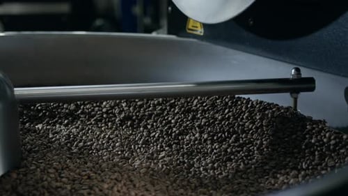 Coffee beans rotating in industrial roaster, workshop production