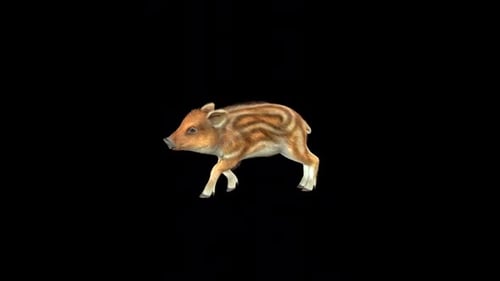 3D Animated Wild Boar Piglet Running Loop