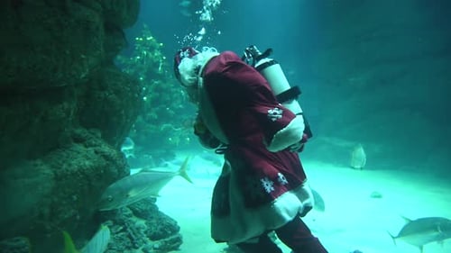 Santa Claus Scuba Diving in Aquarium with Fish