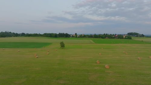 Hay Bales in Green Field from Above