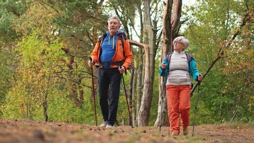 Hiking Tourism Adventure Senior Couple Man Woman Enjoying Outdoor Recreation Hiking in Forest Happy