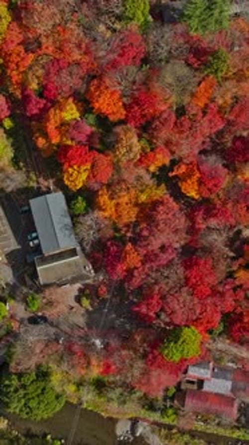 Vertical Aerial Drone Tops Down Yase Neighborhood North Kyoto Autumn Countryside with Fall Colors