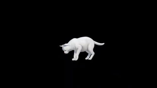 White Cat Play