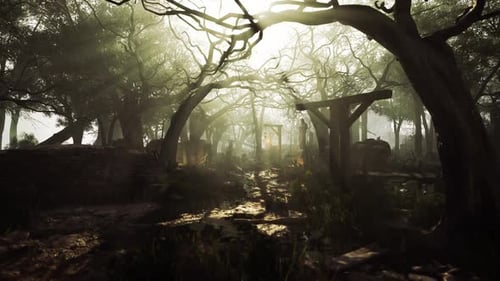 A Mysterious Forest Path Illuminated By Soft Sunlight in the Late Afternoon